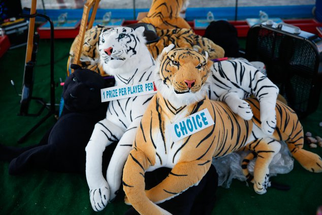 06142019 CARNIVAL 008.jpg