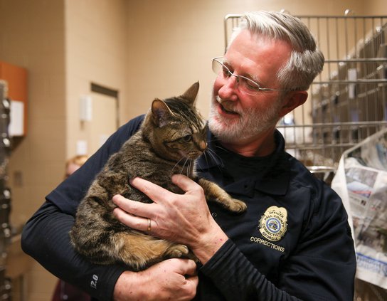 03012019 SHELTER 004.jpg