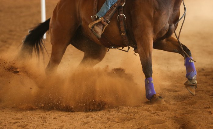 08112019 COWBOY 003.jpg