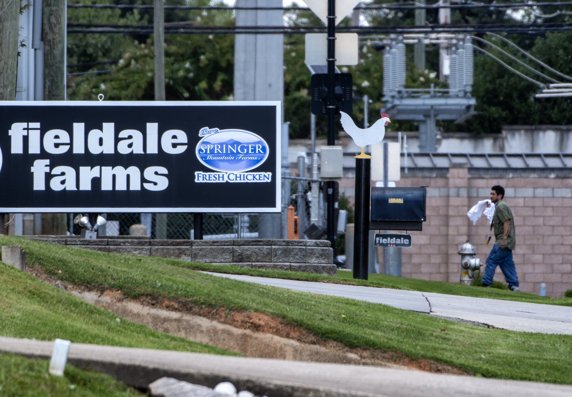 How poultry plant raids in Mississippi are affecting industry locally ...
