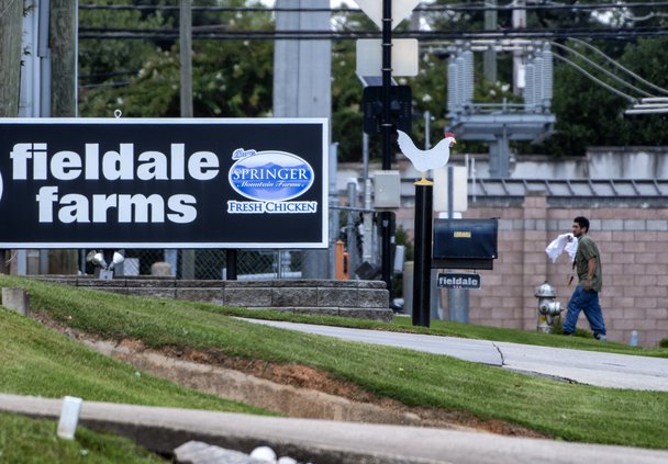 08152019 POULTRY 1.jpg