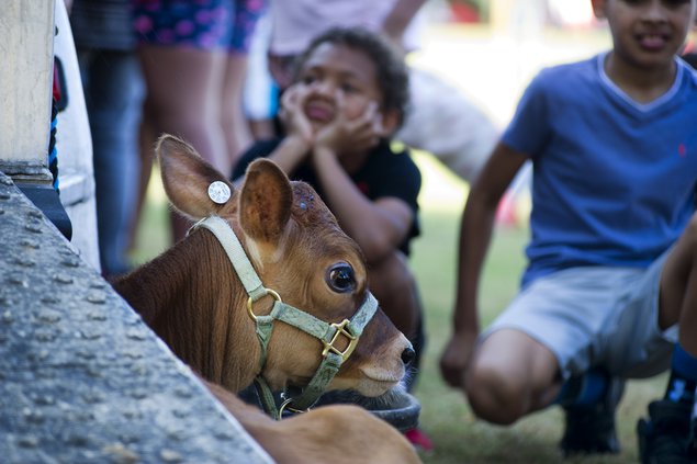 09252019 AGRICULTURE 2.jpg
