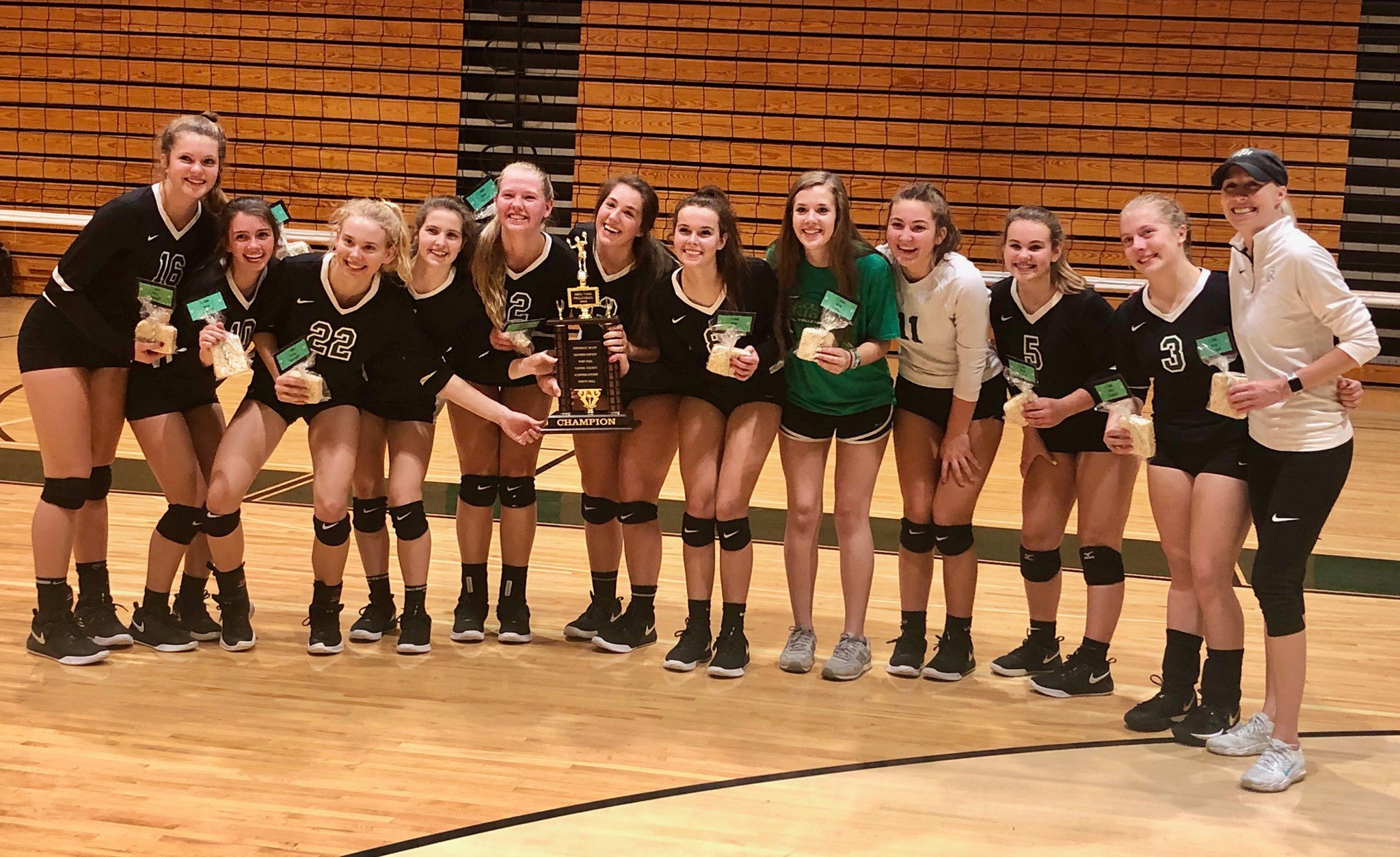 High school volleyball North Hall emerges with Area 73A championship