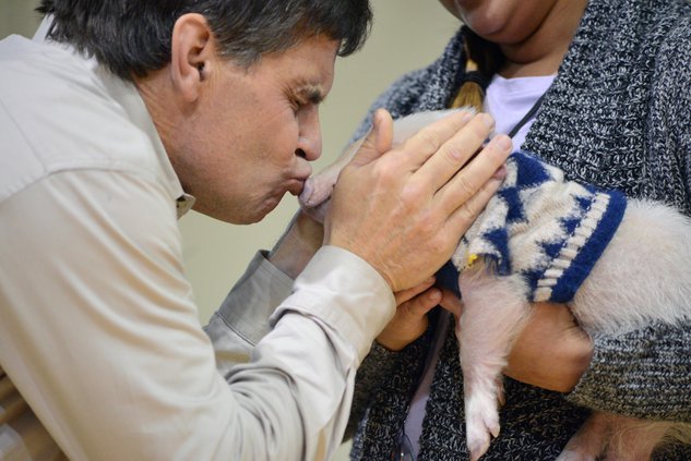 11222019 PIG 1.jpg