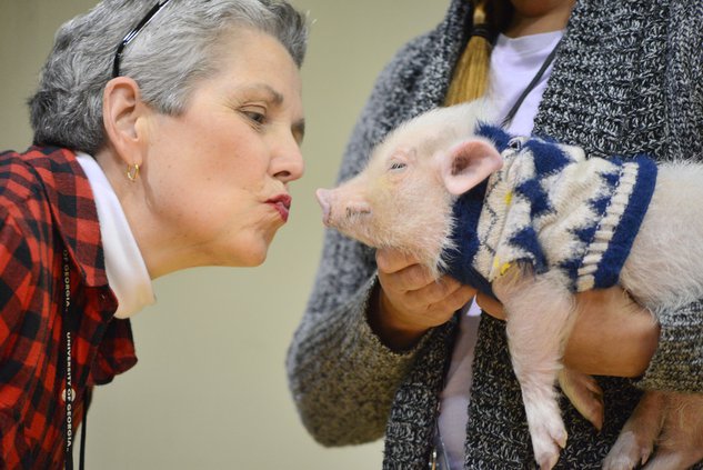 11222019 PIG 4.jpg