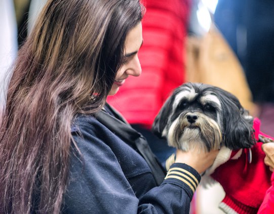 12052019 DOGS 5.jpg
