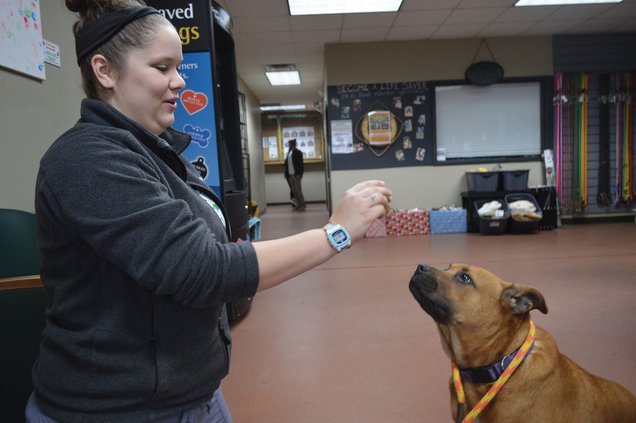 12282019 ANIMALS 1.jpg