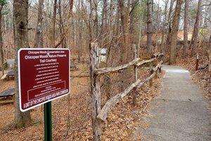 01242020 ELACHEE 1.jpg