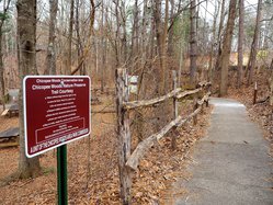 01242020 ELACHEE 1.jpg