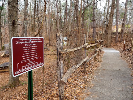 01242020 ELACHEE 1.jpg