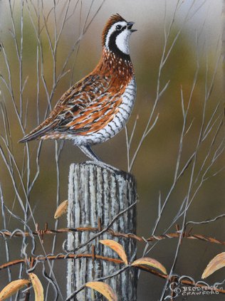 Broderick Crawford_Quail Call.jpg