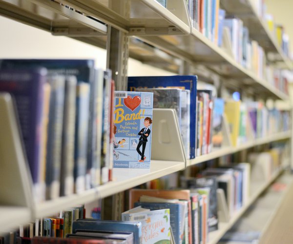 02122020 LIBRARY 1.jpg