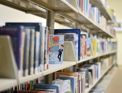 02122020 LIBRARY 1.jpg