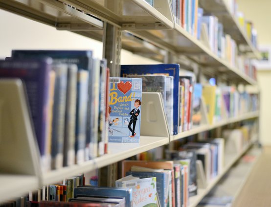 02122020 LIBRARY 1.jpg