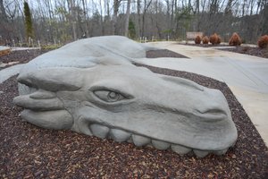 03052020 GARDEN 1.jpg