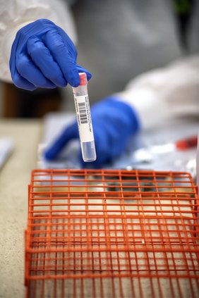 04042020 LAB 5.jpg