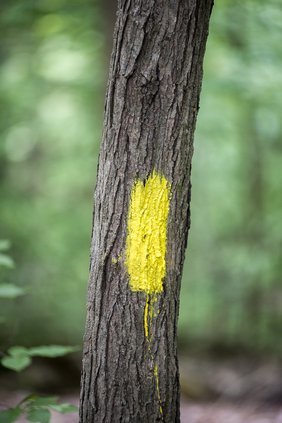 05142020 TRAILS 5.jpg