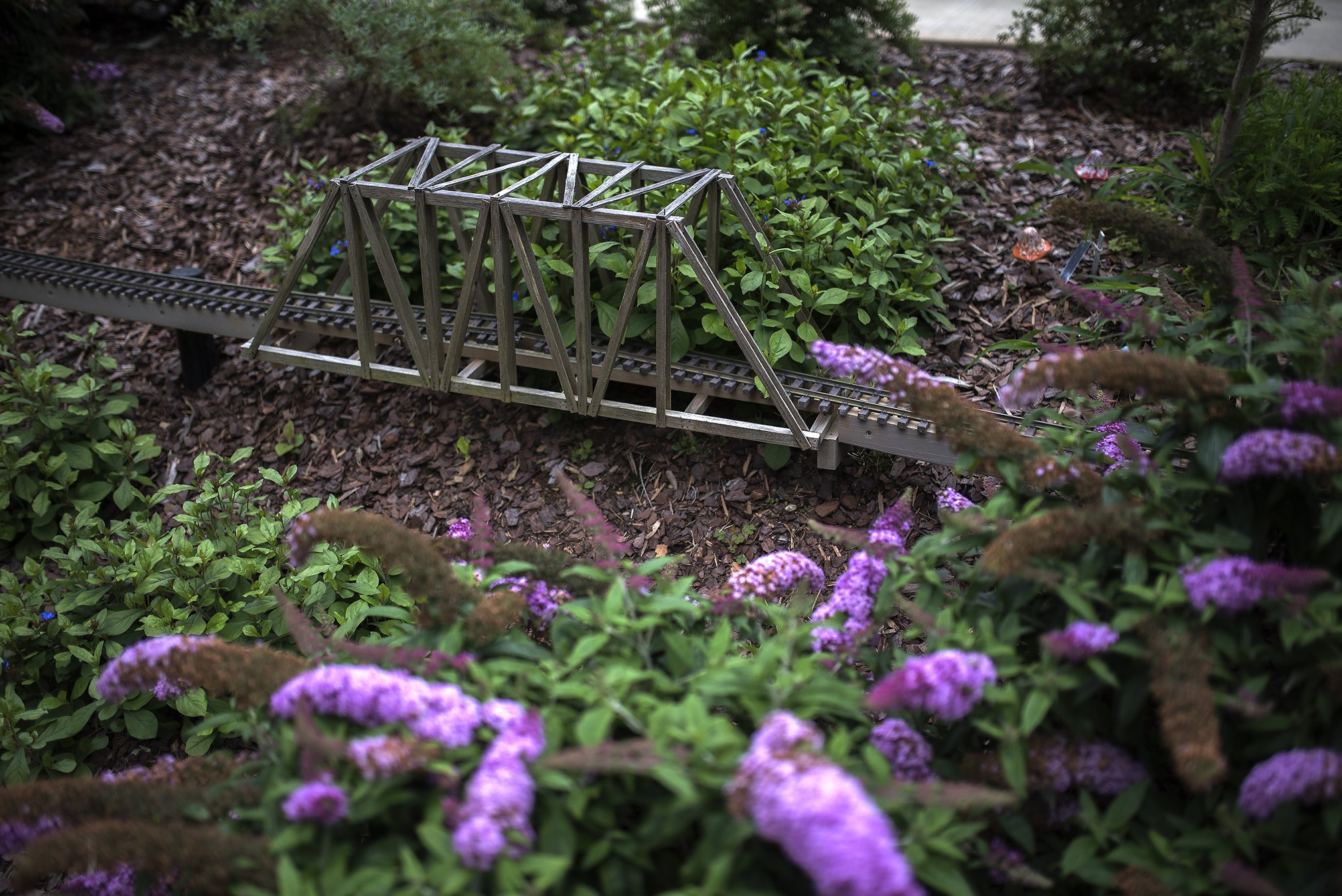 What you’ll find at new children’s garden at Atlanta Botanical Garden