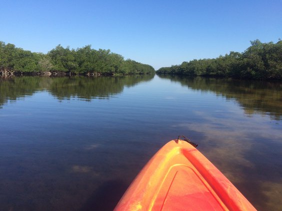 Kayaking in Florida