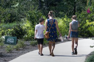 07292020 BOTANICAL 4.jpg