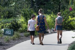 07292020 BOTANICAL 4.jpg