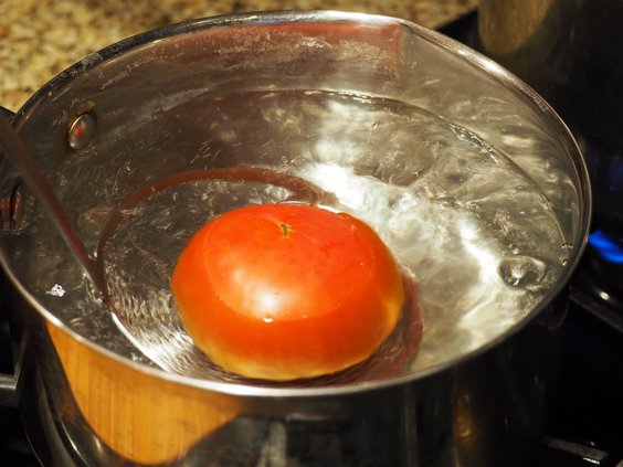 08212020 TOMATOES 3.jpg