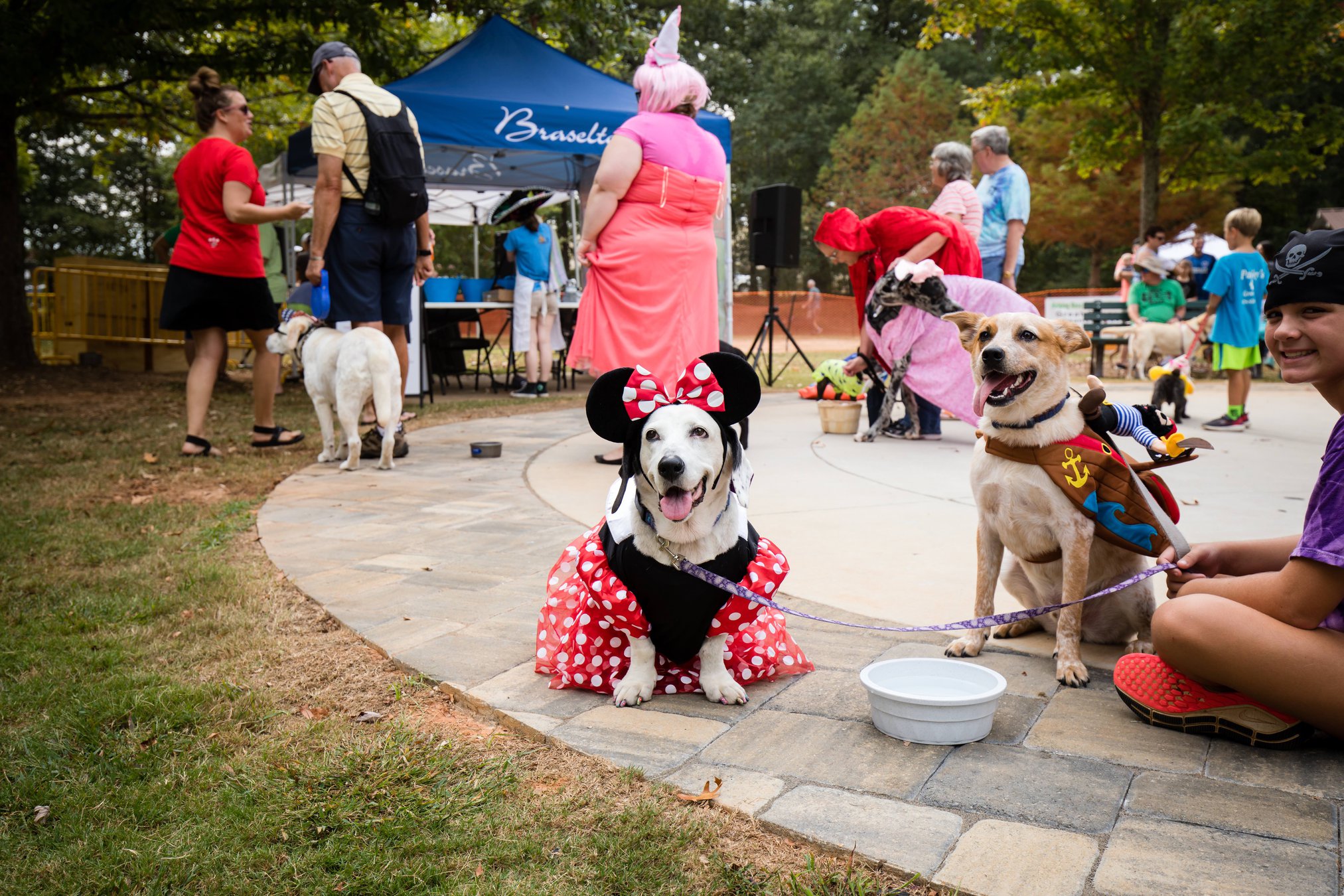 Need another reason to celebrate your dog? Downtown Braselton is