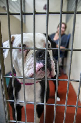 09262020 BAIL 1.jpg