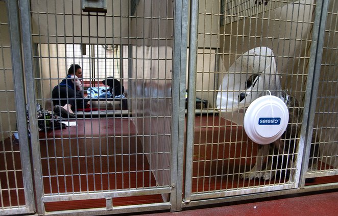 09262020 BAIL 2.jpg