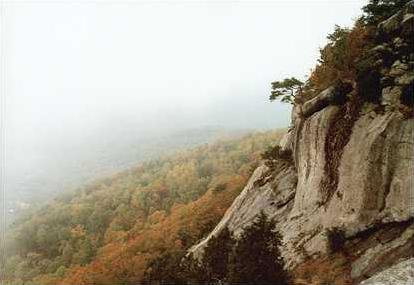 Teen S Death On Mount Yonah Showcases Dangers Of Hiking In The Wilderness Gainesville Times