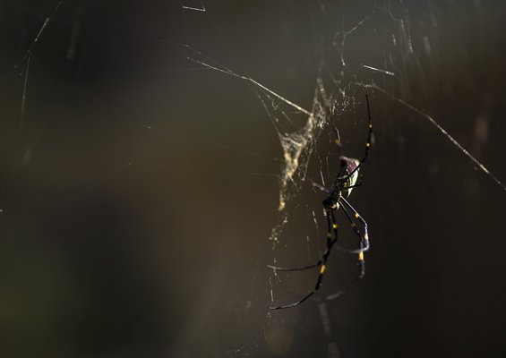 11072020 JORO 5.jpg