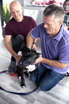01092021 DOGS 3.jpg