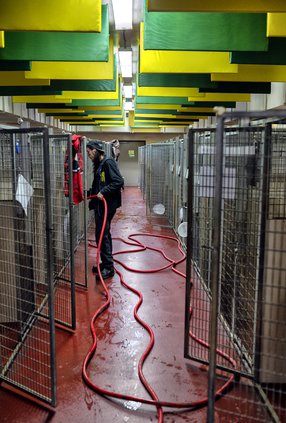 01302021 HUMANE 2.jpg