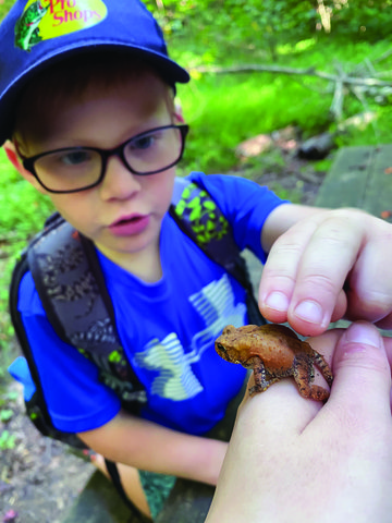 Your Guide To 2021 Hall County Summer Camps Gainesville Times