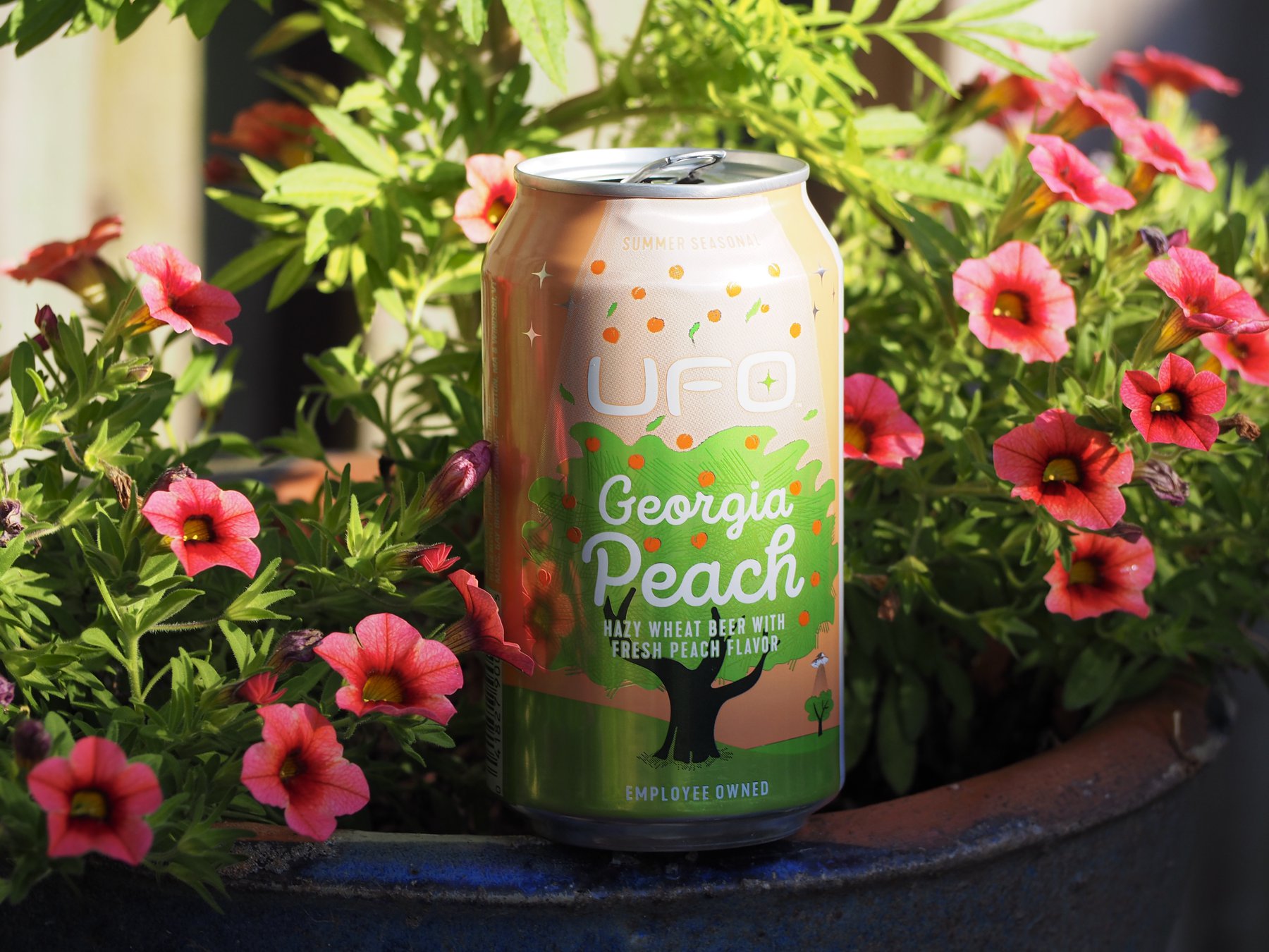 Column The peachiest peach beer to not come from Gainesville