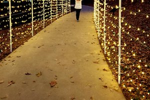 12042021 WILSHIRE 2.jpg