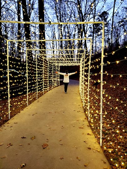 7 free holiday light shows in Northeast Georgia