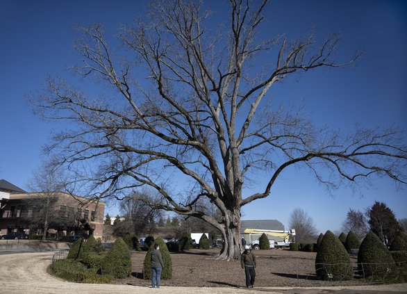 02152022 PECAN 4.jpg