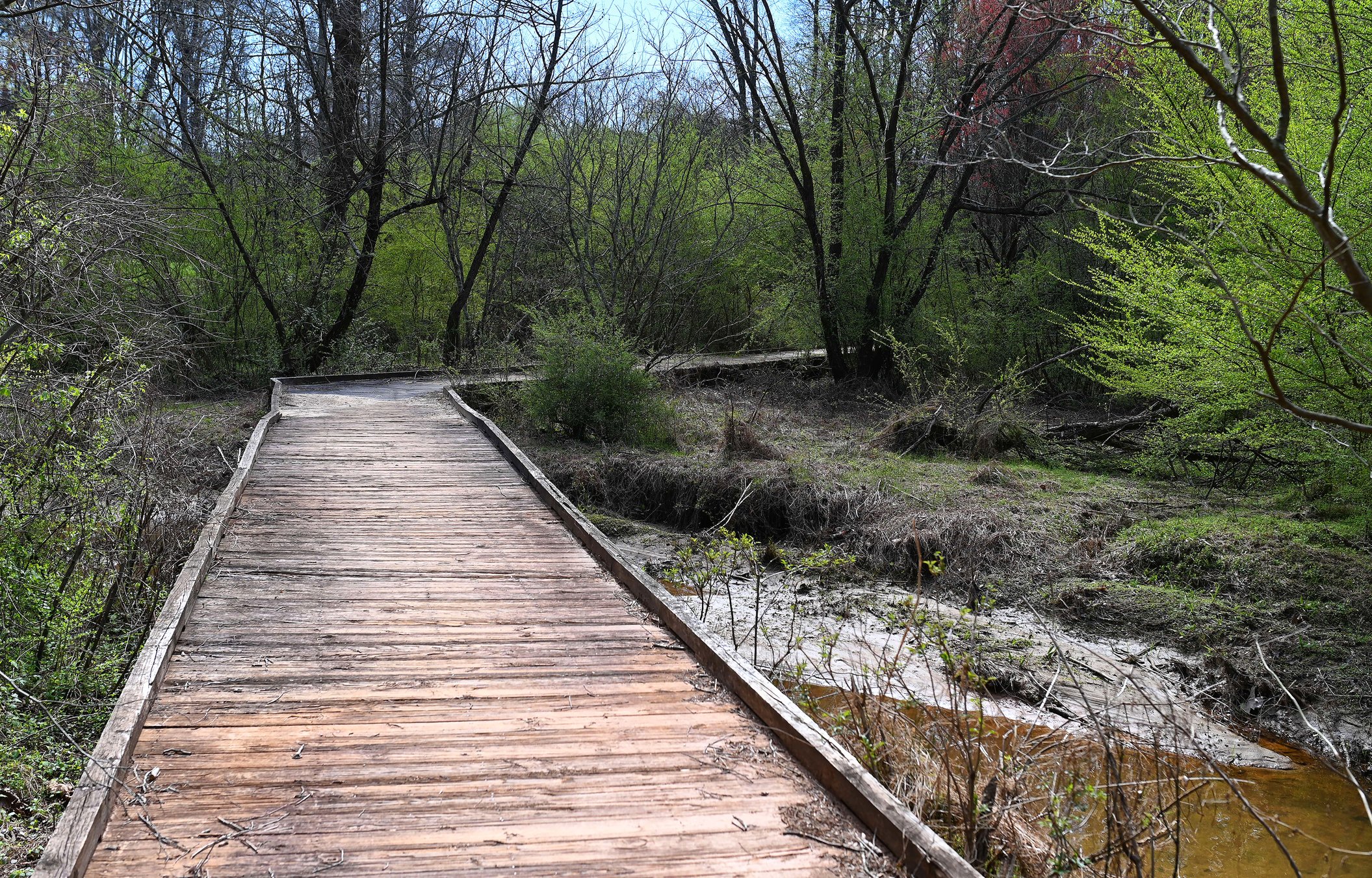 Walk from downtown Gainesville to UNG once this new section of trail is ...