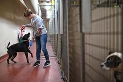 05132022 SHELTER 2.jpg