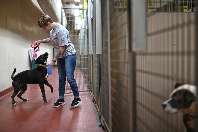 05132022 SHELTER 2.jpg