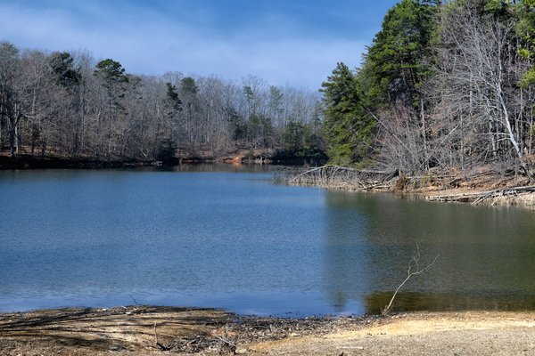 03102021 LAKE 3.jpg