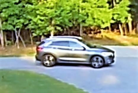 Paradise Point vehicle of interest.jpg