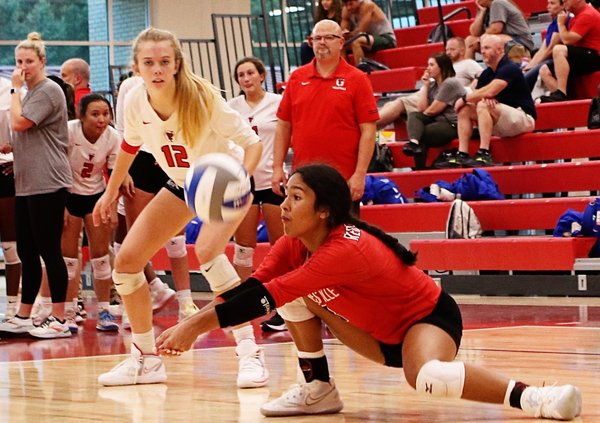 Gainesville volleyball