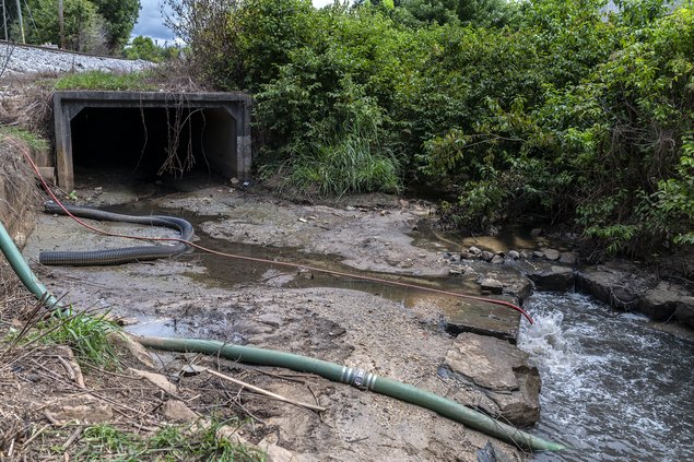 08182022 SOYBEANS 3.jpg