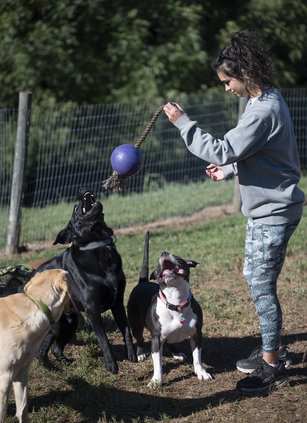 10142022 BARK 2.jpg