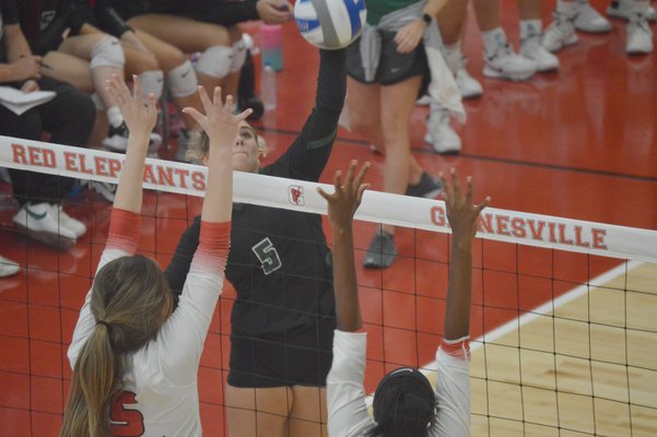 NorthHallvolleyballPreview.jpg