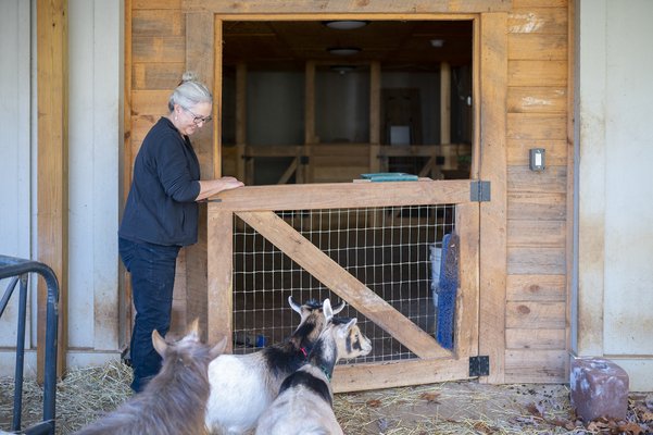 11182022 GOAT 4.jpg