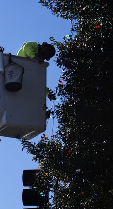 11252022 ROTARYTREE 5.jpg