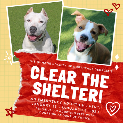 HSNEGA Clear the Shelter Event